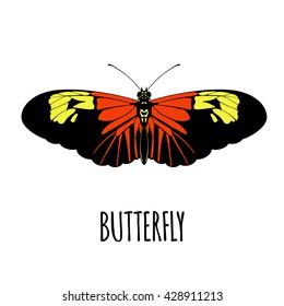 Realistic butterfly in flat style.  Butterfly isolated on white background. Vector illustration