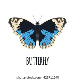 Realistic butterfly in flat style.  Butterfly isolated on white background. Vector illustration