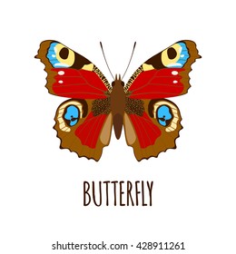 Realistic butterfly in flat style.  Butterfly isolated on white background. Vector illustration