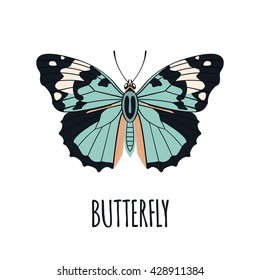 Realistic butterfly in flat style.  Butterfly isolated on white background. Vector illustration