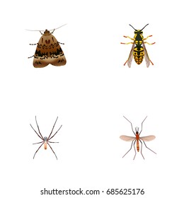 Realistic Butterfly, Gnat, Spider And Other Vector Elements. Set Of Bug Realistic Symbols Also Includes Wisp, Moth, Spinner Objects.