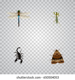 Realistic Butterfly, Grasshopper, Damselfly And Other Vector Elements. Set Of Animal Realistic Symbols Also Includes Butterfly, Poisonous, Fly Objects.