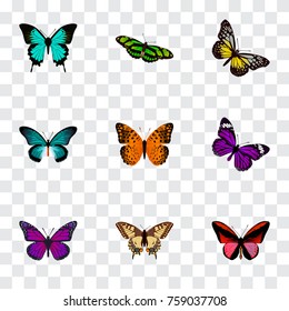 Realistic Butterfly, Green Peacock, Copper And Other Vector Elements. Set Of Moth Realistic Symbols Also Includes Violet, Purple, Swallowtail Objects.