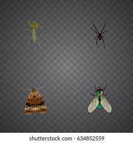 Realistic Butterfly, Housefly, Grasshopper And Other Vector Elements. Set Of Bug Realistic Symbols Also Includes Locust, Jewel, Wasp Objects.