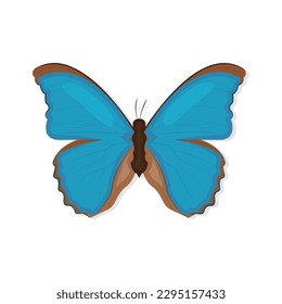 Realistic Butterfly Icon Vector Design.