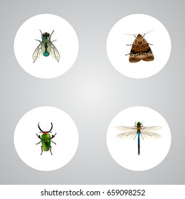 Realistic Butterfly, Insect, Housefly And Other Vector Elements. Set Of Bug Realistic Symbols Also Includes Dragonfly, Green, Beetle Objects.