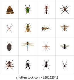Realistic Butterfly, Midge, Damselfly And Other Vector Elements. Set Of Bug Realistic Symbols Also Includes Wasp, Dragonfly, Fly Objects.
