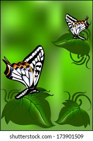 realistic butterfly on green leaves on a blurred background 