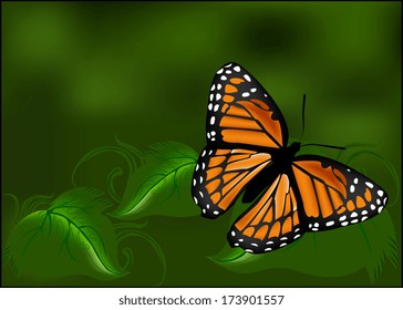 realistic butterfly on green leaves on a blurred background