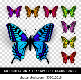 Realistic butterfly on transparent background