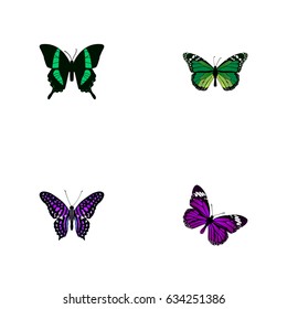 Realistic Butterfly, Polyommatus Icarus, Beauty Fly And Other Vector Elements. Set Of Beauty Realistic Symbols Also Includes Purple, Tropical, Malachite Objects.