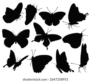Realistic butterfly silhouette icons set. Flying butterflies silhouette black set isolated on white background. Set of butterfly in flight silhouettes. Butterfly tattoo silhouettes, sign, symbol, logo