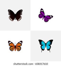 Realistic Butterfly, Spicebush, Monarch And Other Vector Elements. Set Of Butterfly Realistic Symbols Also Includes Purple, Bluewing, Blue Objects.