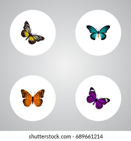 Realistic Butterfly, Summer Insect, Danaus Plexippus And Other Vector Elements. Set Of Moth Realistic Symbols Also Includes Purple, Blue, Monarch Objects.