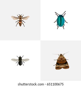 Realistic Butterfly, Wisp, Midge And Other Vector Elements. Set Of  Realistic Symbols Also Includes Fly, Bug, Dor Objects.