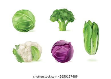 Repolhos realistas. 3d conjunto isolado repolho branco, verde alface alface alface verde couve-flor couve-flor salada folha brócolis vegetal vegan fazenda cozinha comida, ilustração vetorial exata obra de arte original