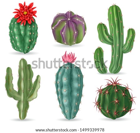 Similar – Image, Stock Photo flowers and succulents on wooden table