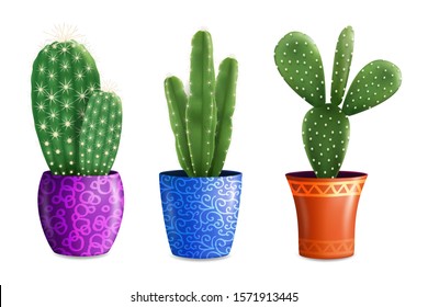 Realistic cactus plants in beautiful color pots, vector illustration isolated on white background. Decorative succulent houseplant cacti with thorns.