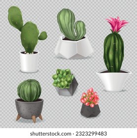 Realistic cactus pot set of isolated images with house plants in decorative pots on transparent background vector illustration