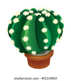 Realistic cactus and Succulent plant in pot, vector illustration