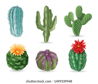 Realistic cactuses. Decorative desert exotic cactus prickly plants. Wild and houseplant succulent cacti. 3d isolated vector set