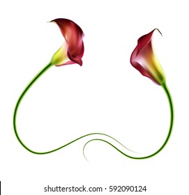 Realistic calla lily frame