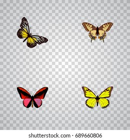 Realistic Callicore Cynosura, Archippus, Summer Insect And Other Vector Elements. Set Of Butterfly Realistic Symbols Also Includes Monarch, Cynosura, Yellow Objects.