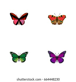 Realistic Callicore Cynosura, Birdwing, American Painted Lady And Other Vector Elements. Set Of Butterfly Realistic Symbols Also Includes Malachite, Red, Butterfly Objects.