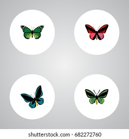 Realistic Callicore Cynosura, Birdwing, Demophoon And Other Vector Elements. Set Of Beauty Realistic Symbols Also Includes Malachite, Fly, Green Objects.