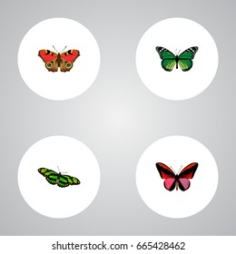 Realistic Callicore Cynosura, Birdwing, Green Peacock And Other Vector Elements. Set Of Butterfly Realistic Symbols Also Includes Green, Fly, Red Objects.