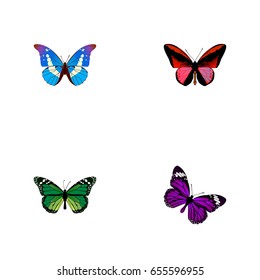 Realistic Callicore Cynosura, Bluewing, Butterfly And Other Vector Elements. Set Of Beauty Realistic Symbols Also Includes Purple, Malachite, Morpho Objects.