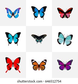 Realistic Callicore Cynosura, Bluewing, Monarch And Other Vector Elements. Set Of Beauty Realistic Symbols Also Includes Julia, Purple, Cypris Objects.