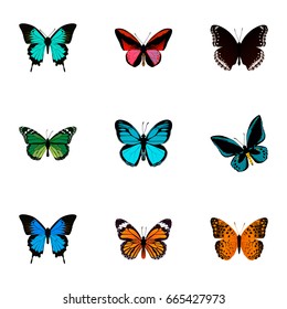 Realistic Callicore Cynosura, Common Blue, Danaus Plexippus And Other Vector Elements. Set Of Beauty Realistic Symbols Also Includes Orange, Green, Butterfly Objects.