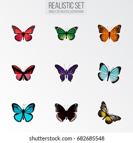 Realistic Callicore Cynosura, Danaus Plexippus, Summer Insect And Other Vector Elements. Set Of Beauty Realistic Symbols Also Includes Black, Malachite, Monarch Objects.
