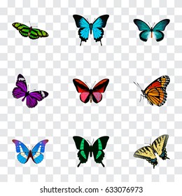 Realistic Callicore Cynosura, Papilio Ulysses, Checkerspot And Other Vector Elements. Set Of Moth Realistic Symbols Also Includes Brown, Bluewing, Purple Objects.