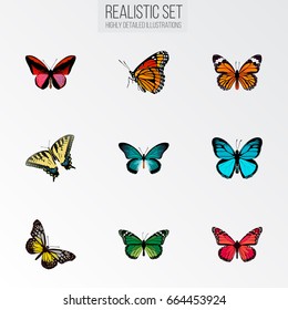 Realistic Callicore Cynosura, Pipevine, Azure Peacock And Other Vector Elements. Set Of Butterfly Realistic Symbols Also Includes Bluewing, Beauty, Yellow Objects.