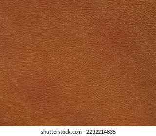 Realistic camel colored leather surface. Vector eps10 background with brown aged texture. 