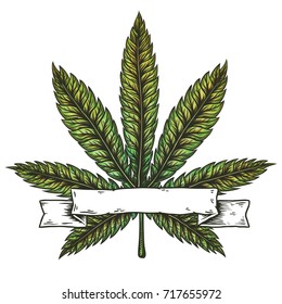 Realistic cannabis leaf with banner for text. Hand drawn isolated vector illustration.