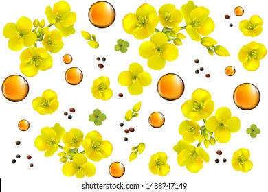Realistic Canola seeds and flowers pattern. Brassica napus. Seamless vector pattern. Isolated vector illustration on green background.