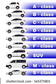 Realistic Car. Set. Car Classification