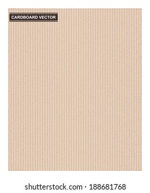 realistic cardboard vector