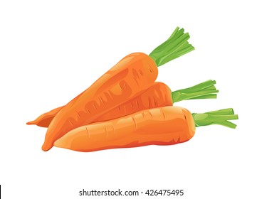 Realistic Carrots Vector Illustration