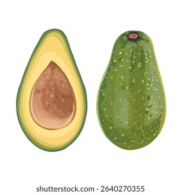 Realistic cartoon avocado fruit, Half an avocado with the pit. Avocado cut in half on white background