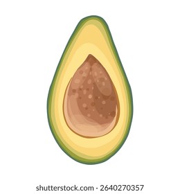 Realistic cartoon avocado fruit Half an avocado with the pit. Avocado cut in half on white background