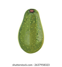 Realistic cartoon avocado fruit on white background