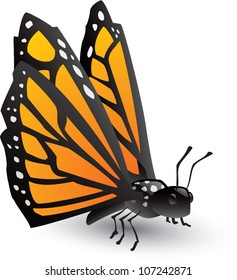 Realistic cartoon illustration of a monarch butterfly, isolated on white.