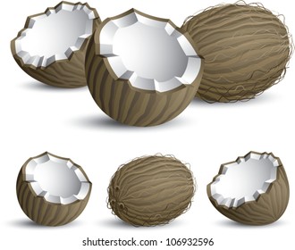 Realistic cartoon illustration of some coconuts (whole and split in half), isolated on white.