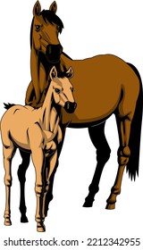 Realistic Cartoon Mare And Foal Horse. Vector Hand Drawn Illustration Isolated On Transparent Background