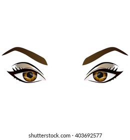 Realistic cartoon vector female brown eyes and eyebrows and fashion make up. Hazel eyes and brows design element, body parts isolated on white background. Eyes close up-
