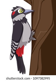 Realistic Cartoon Woodpecker Vector Illustration Standing on Tree